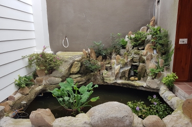 Cây xanh - hồ cá trang trí tươi xanh