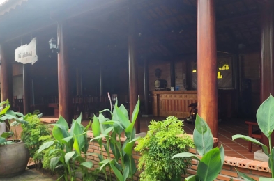Cây xanh - hồ cá trang trí tươi xanh