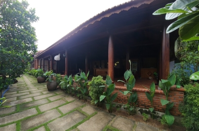 Cây xanh - hồ cá trang trí tươi xanh