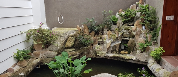 Cây xanh - hồ cá trang trí tươi xanh