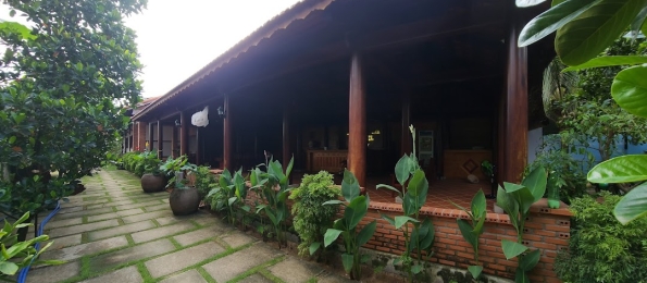 Cây xanh - hồ cá trang trí tươi xanh